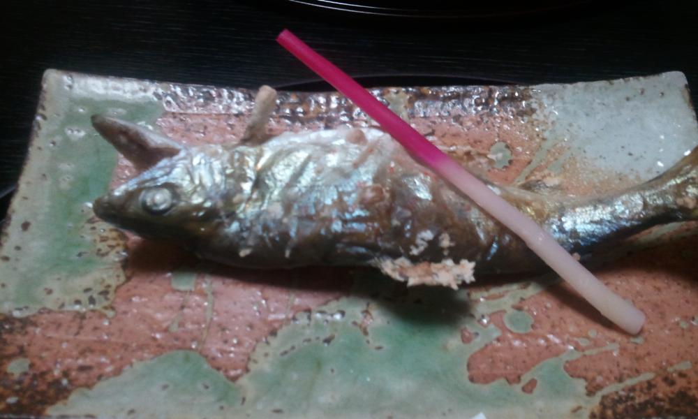 2012-01-28 19.15.42.jpg